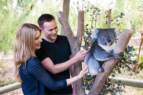 Adelaide Central Market With Cleland Wildlife Park And Mount Lofty Summit - Accommodation Batemans Bay 1
