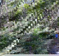 Self-Guided Waterfall Gully to Mount Lofty Hike from Adelaide - Accommodation Batemans Bay