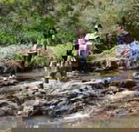 Small Group Bush Walk  BBQ with Wine Day Trip from Adelaide - Accommodation Batemans Bay