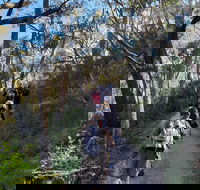 Mount Lofty Hike and Cleland Wildlife Park Day Trip from Adelaide - Accommodation Batemans Bay