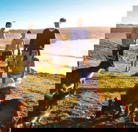 5-Day Adelaide and Kangaroo Island Tour Including Barossa Valley Wine Tasting - Accommodation Batemans Bay