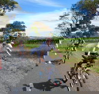 McLaren Vale Wine Tour by Bike - Accommodation Batemans Bay