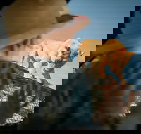 Lions 360 Experience and a Day at Monarto Safari Park - Accommodation Batemans Bay