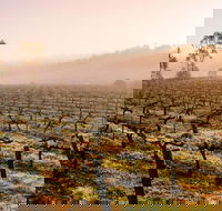 Barossa Valley Private Tour It's your tour the way you want it. - Accommodation Batemans Bay