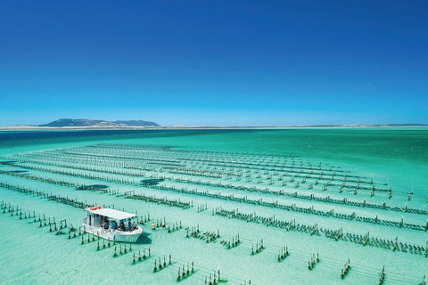 Coffin Bay Day Tour - A Taste Of Coffin Bay - Accommodation Batemans Bay 0