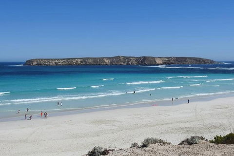 Coffin Bay Day Tour - A Taste Of Coffin Bay - Accommodation Batemans Bay 12