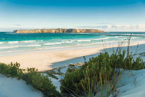 Coffin Bay Day Tour - A Taste Of Coffin Bay - Accommodation Batemans Bay 13