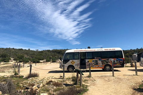 Coffin Bay Day Tour - A Taste Of Coffin Bay - Accommodation Batemans Bay 4