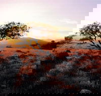 Adelaide To Coober Pedy 7 DAY SMALL GROUP 4WD SAFARI - Accommodation Batemans Bay