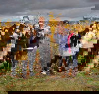 McLaren Vale Winery Small Group Tour with Wine Tasting and Lunch - Accommodation Batemans Bay