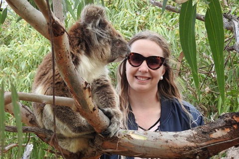 One Day Port Lincoln Tour - Tasting Eyre - Accommodation Batemans Bay 0