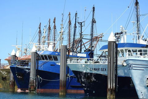 One Day Port Lincoln Tour - Tasting Eyre - Accommodation Batemans Bay 8