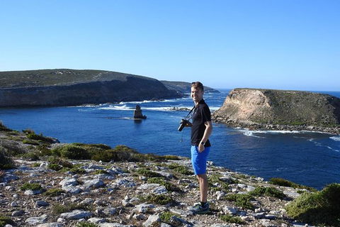One Day Port Lincoln Tour - Tasting Eyre - Accommodation Batemans Bay 11