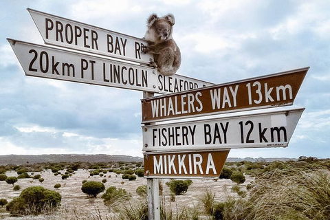 One Day Port Lincoln Tour - Tasting Eyre - Accommodation Batemans Bay 4