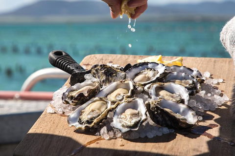 Experience Coffin Bay Short And Sweet Oyster Farm Tour - Accommodation Batemans Bay 0