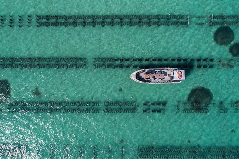 Experience Coffin Bay Short And Sweet Oyster Farm Tour - Accommodation Batemans Bay 1