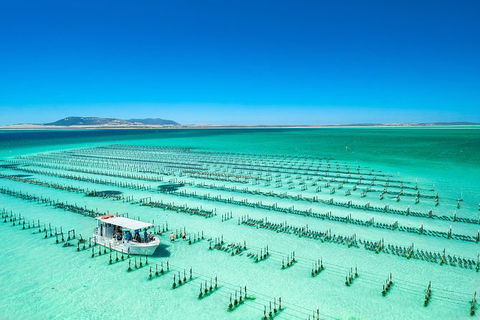 Experience Coffin Bay Short And Sweet Oyster Farm Tour - Accommodation Batemans Bay 5