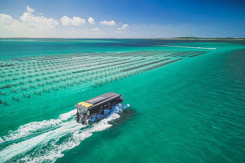 Experience Coffin Bay Short And Sweet Oyster Farm Tour - Accommodation Batemans Bay 2