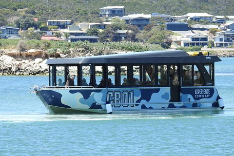 Experience Coffin Bay Short And Sweet Oyster Farm Tour - Accommodation Batemans Bay 9