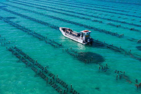 Experience Coffin Bay Short And Sweet Oyster Farm Tour - Accommodation Batemans Bay 7