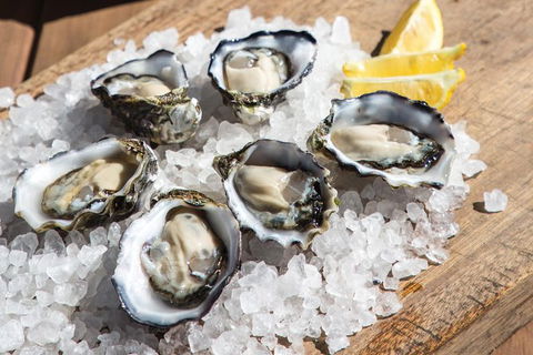 Experience Coffin Bay Short And Sweet Oyster Farm Tour - Accommodation Batemans Bay 3