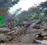 Personalised Private Platypus Land Tour - Accommodation Batemans Bay