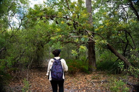 Pack-free Camping: Lake McKenzie Central Hike - 2 Days - Accommodation Batemans Bay 1
