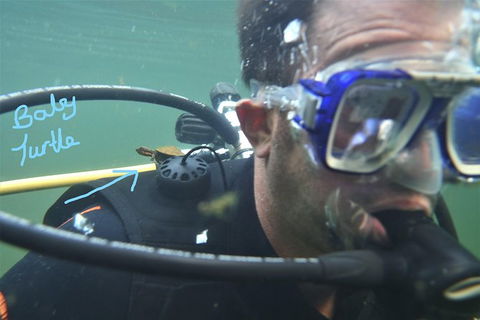 Rainforest Platypus Night Dive (Certified Divers Only Once Day Dive Completed) - Accommodation Batemans Bay 4