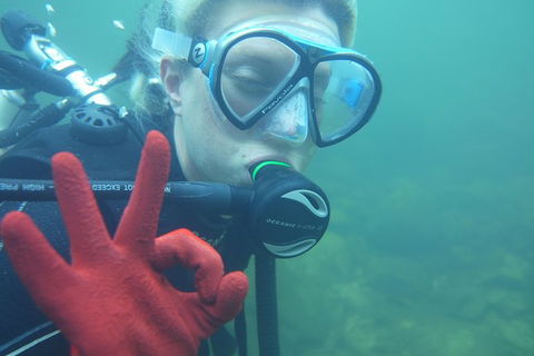 Rainforest Platypus Night Dive (Certified Divers Only Once Day Dive Completed) - Accommodation Batemans Bay 5