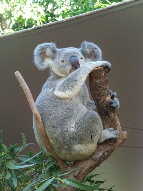 Whitehaven Beach And Hamilton Island Cruise - Accommodation Batemans Bay 6