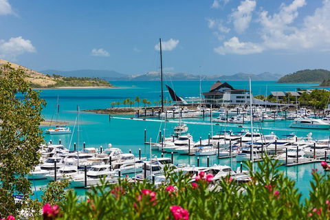 Whitehaven Beach And Hamilton Island Cruise - Accommodation Batemans Bay 10