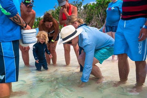 Whitehaven Beach And Hamilton Island Cruise - Accommodation Batemans Bay 12