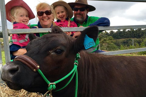 Mackay's Day In The Clouds Paddock To Plate Tour - Accommodation Batemans Bay 0