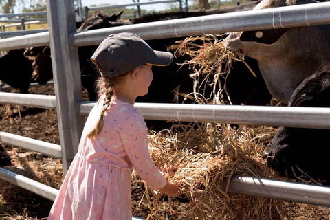 Mackay Farm Food And Flavours Tour - Accommodation Batemans Bay 0