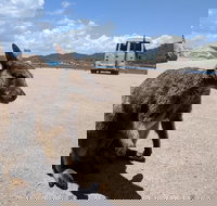 Magnetic Island Tour Maggie Comprehensive - Accommodation Batemans Bay