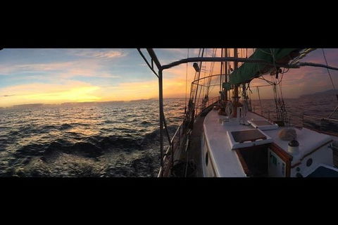 Whitsundays Sunset Sailing Cruise - Accommodation Batemans Bay 3