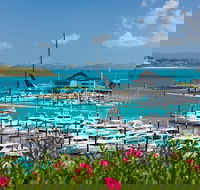 Three Island Guided Tour - Accommodation Batemans Bay