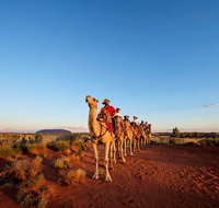 Uluru Small-Group Tour by Camel at Sunrise or Sunset - Accommodation Batemans Bay
