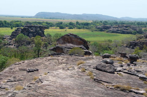 Kakadu Full-Day Tour From Darwin With Lunch - Accommodation Batemans Bay 3