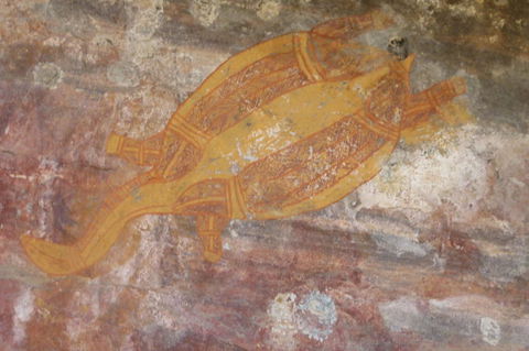 Kakadu Full-Day Tour From Darwin With Lunch - Accommodation Batemans Bay 4
