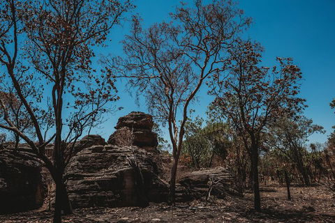 Kakadu Full-Day Tour From Darwin With Lunch - Accommodation Batemans Bay 6