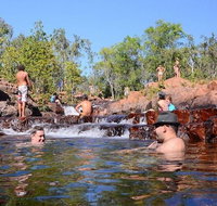 Litchfield and Jumping Crocodiles Full Day Trip from Darwin - Accommodation Batemans Bay