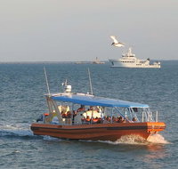 1-Hour Darwin Harbour Highlights Cruise - Accommodation Batemans Bay