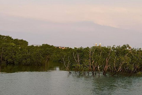 1-Hour Darwin Harbour Highlights Cruise - Accommodation Batemans Bay 7