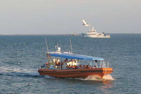 1-Hour Darwin Harbour Highlights Cruise - Accommodation Batemans Bay 2