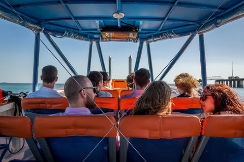 1-Hour Darwin Harbour Highlights Cruise - Accommodation Batemans Bay 6