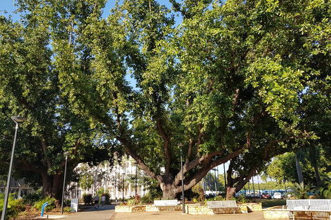 Darwin Heritage Walk - Accommodation Batemans Bay 4