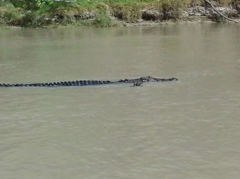 3-Day Kakadu National Park And Arnhem Land Explorer Tour From Darwin - Accommodation Batemans Bay 7