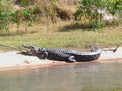 3-Day Kakadu National Park And Arnhem Land Explorer Tour From Darwin - Accommodation Batemans Bay 6