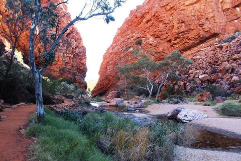 Half Day MacDonnell Ranges Small Group - Private Guided Tour - Accommodation Batemans Bay 0